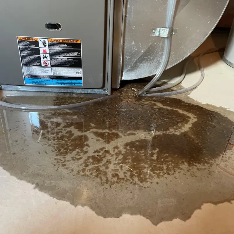 Appliance Leak Cleanup in Brush, CO