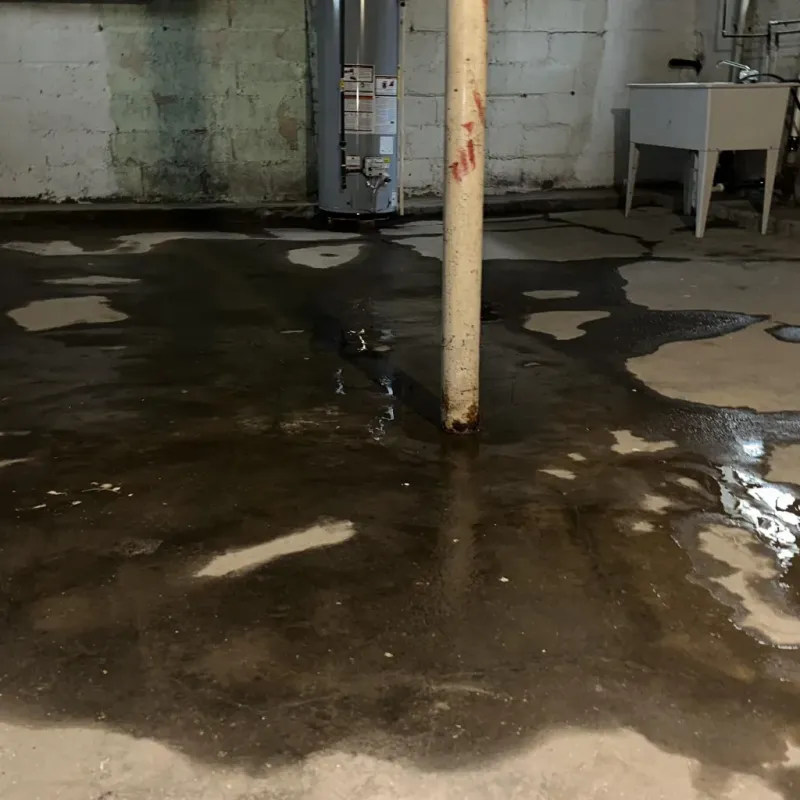 Emergency Water Extraction And Removal in Brush, CO